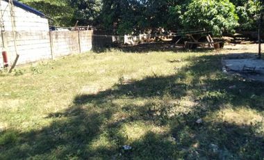For Sale: 4,500 sqm Residential Lot in Brgy Naya, Pura, Tarlac