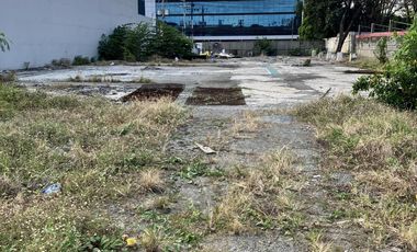 Otis Manila Commercial Vacant Lot for Sale