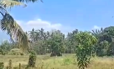40% Below Market Value! 1.8 Hectare Land near McDonalds and SM City San Pablo, L