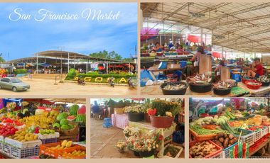 For sale American-Inspired House with a Title on Camotes Island, San Francisco