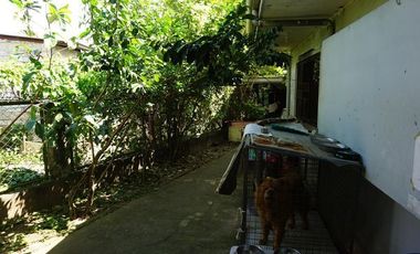 Commercial House for Rent at Brgy. Mabolo, Malolos City, Bulacan