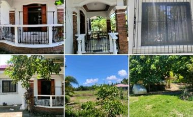 3BR, 3T&B Bungalow House and Lot with Farm