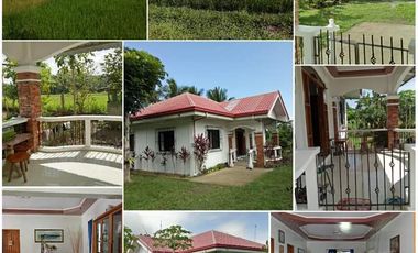 3BR, 3T&B Bungalow House and Lot with Farm