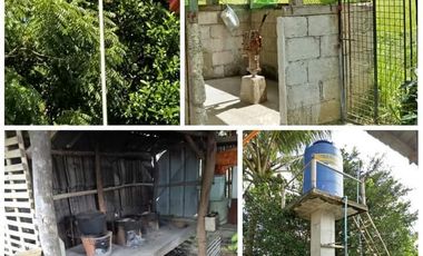3BR, 3T&B Bungalow House and Lot with Farm
