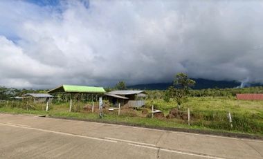Commercial Land for sale in Misamis Oriental, Gingoog City