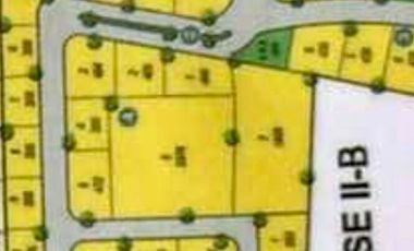 The Courtyard at Malarayat lot for sale 1,189 sqm Lipa Batangas residential lot