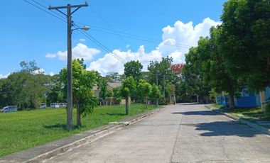 Residential Lot for Sale in Camella Wedgewood, Sta. Barbara, Pangasinan