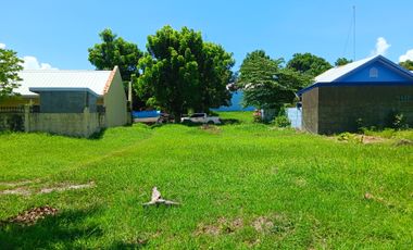 Residential Lot for Sale in Camella Wedgewood, Sta. Barbara, Pangasinan
