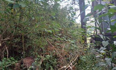 Rich View Subd bakakeng Titled Lot