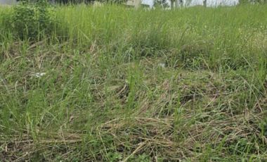 Hampton Orchard Residential Lot 300 sqm in Brgy. Calibutbut Bacolor, Pampanga