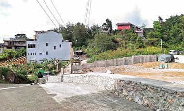 Tuba Poblacion 1000sqm Lot for Sale!