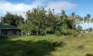 For Sale: Residential Lot in Bajumpandan, Dumaguete City ID 14978