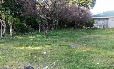 For Sale: Residential Lot in Bajumpandan, Dumaguete City ID 14978