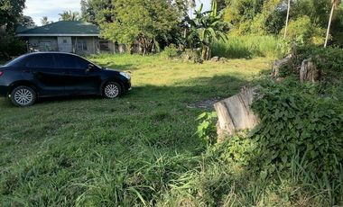For Sale: Residential Lot in Bajumpandan, Dumaguete City ID 14978