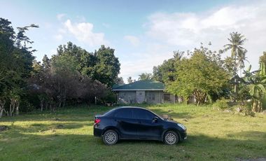 For Sale: Residential Lot in Bajumpandan, Dumaguete City ID 14978