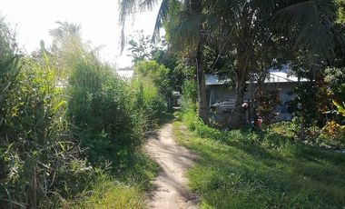 For Sale: Residential Lot in Bajumpandan, Dumaguete City ID 14978