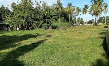For Sale: Residential Lot in Bajumpandan, Dumaguete City ID 14978
