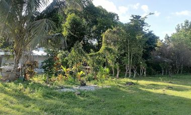 For Sale: Residential Lot in Bajumpandan, Dumaguete City ID 14978