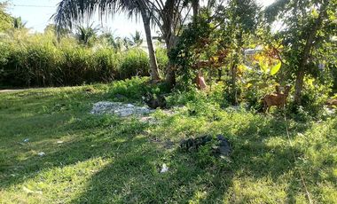 For Sale: Residential Lot in Bajumpandan, Dumaguete City ID 14978