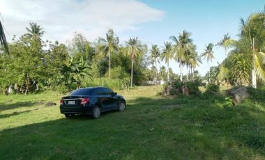 For Sale: Residential Lot in Bajumpandan, Dumaguete City ID 14978