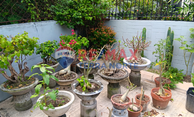 House and Lot for Sale in Dagupan City, Pangasinan