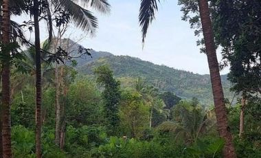 Subdivided 2400 sqm Lot in Puerto Princesa Palawan