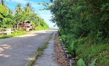 Subdivided 2400 sqm Lot in Puerto Princesa Palawan
