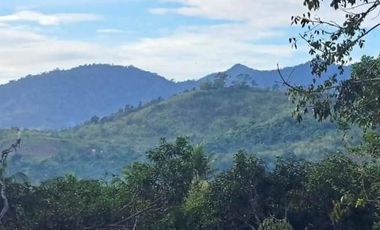 Subdivided 2400 sqm Lot in Puerto Princesa Palawan