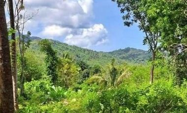 Subdivided 2400 sqm Lot in Puerto Princesa Palawan