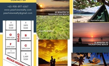 Subdivided 2400 sqm Lot in Puerto Princesa Palawan