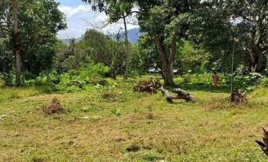 Subdivided 2400 sqm Lot in Puerto Princesa Palawan