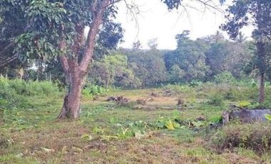 Subdivided 2400 sqm Lot in Puerto Princesa Palawan