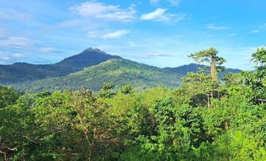 Subdivided 2400 sqm Lot in Puerto Princesa Palawan