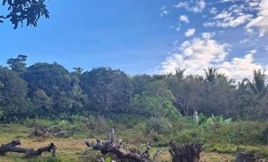 Subdivided 2400 sqm Lot in Puerto Princesa Palawan