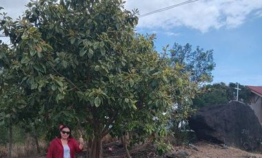 for sale Lot at East ridge Binangonan