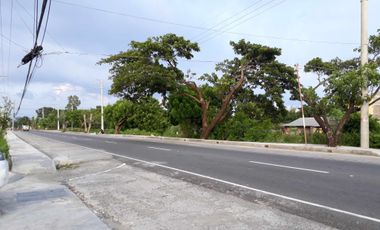 2YEARS TO PAY NO INTEREST BEACHFRONT PARADISE; Eagle Crest Villa Dagupan City