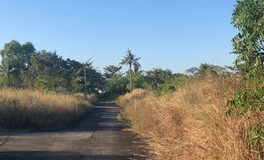 2YEARS TO PAY NO INTEREST BEACHFRONT PARADISE; Eagle Crest Villa Dagupan City