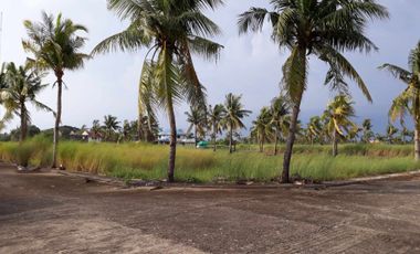 2YEARS TO PAY NO INTEREST BEACHFRONT PARADISE; Eagle Crest Villa Dagupan City