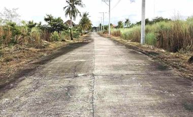 2YEARS TO PAY NO INTEREST BEACHFRONT PARADISE; Eagle Crest Villa Dagupan City