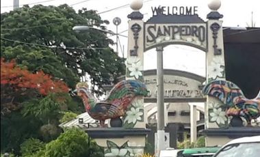 Pacita San Pedro Laguna House And Lot For Sale
