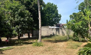 House and Lot for Sale in Dumaguete City