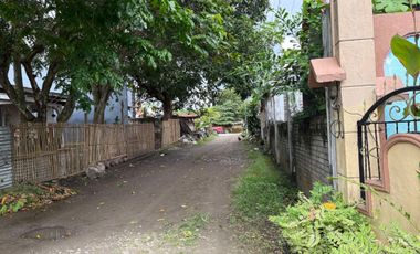 For Sale: 3 Bedroom House and Lot in Ajong, Sibulan