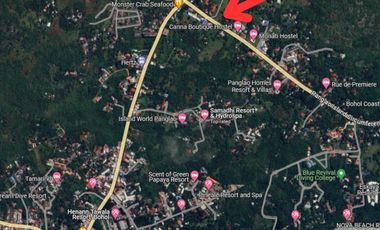 PROPERTY # 11250 BOHOL COMMERCIAL LOT FOR LEASE