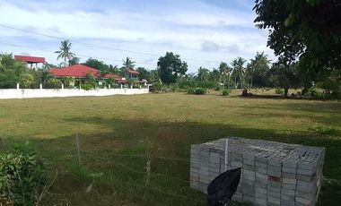 PROPERTY # 11250 BOHOL COMMERCIAL LOT FOR LEASE