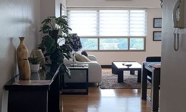 Rush Sale! The Residences at Greenbelt, 2 Bedroom in Greenbelt Makati