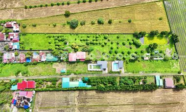 Paradise Awaits: Farm Lot for Sale in Arayat Pampanga