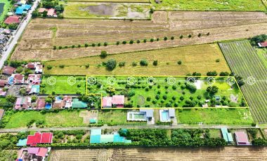 Paradise Awaits: Farm Lot for Sale in Arayat Pampanga