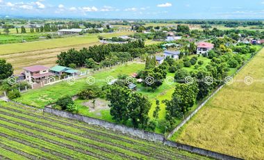 Paradise Awaits: Farm Lot for Sale in Arayat Pampanga