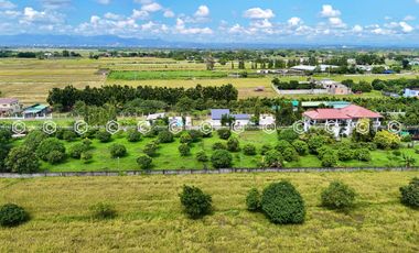 Paradise Awaits: Farm Lot for Sale in Arayat Pampanga