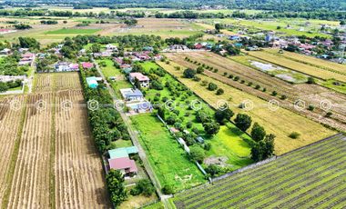 Paradise Awaits: Farm Lot for Sale in Arayat Pampanga